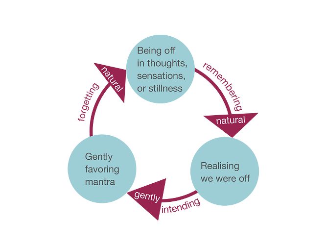 deep_meditation_cycle